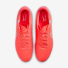 Бутси Nike LEGEND 10 ACADEMY FG/MG DV4337-800