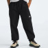 Штани THE NORTH FACE - EASY WIND TROUSERS NF0A8767JK3 Штани THE NORTH FACE - EASY WIND TROUSERS NF0A8767JK3
