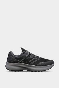 Кросівки бігові Saucony RIDE 15 TR GTX S10799-10