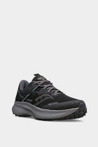 Кросівки бігові Saucony RIDE 15 TR GTX S10799-10