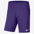 Шорти Nike Shorts Dri-Fit Park 3 BV6855-547