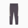 Штани спортивні EVOSTRIPE Pants 68170269 Puma S Темно-сірий 68170269