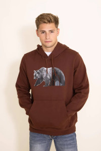 Худі чоловіче The North Face Bear Pullover Hoodie Brown NF0A7UNM6S2