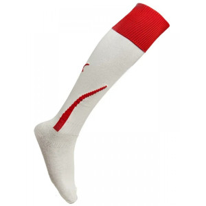 Гетри футбольні PUMA PowerCat 5.10 700781-12