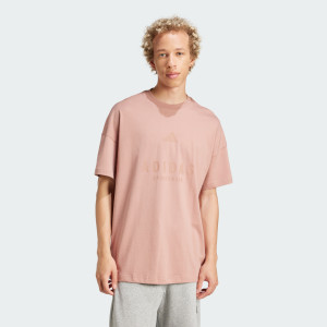 Футболка Adidas All Szn Graphic Sportswear JJ3659