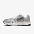 Кросівки Nike Air Pegasus 2K5 HJ7310-025 Кросівки Nike Air Pegasus 2K5 HJ7310-025