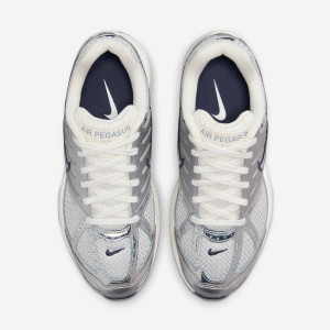 Кросівки Nike Air Pegasus 2K5 HJ7310-025