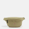 Сумка Dickies DICKIES DUCK CANVAS CROSS BODY DK0A4XOYDS01
