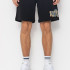 Шорти Ripndip SHEN

NERM SWEATSHORTS RNDSUM25117 