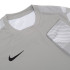 Футболка Nike Dry Park IV Goalkeeper Jersey Long Sleeve CJ6066-052