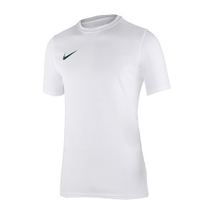 Футболка тренувальна Nike M NK DF PARK VII JSY SS BV6708-101