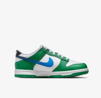 Кросівки Nike DUNK LOW GS FZ4357-300