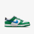 Кросівки Nike DUNK LOW GS FZ4357-300