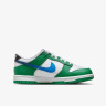 Кросівки Nike DUNK LOW GS FZ4357-300