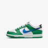 Кросівки Nike DUNK LOW GS FZ4357-300