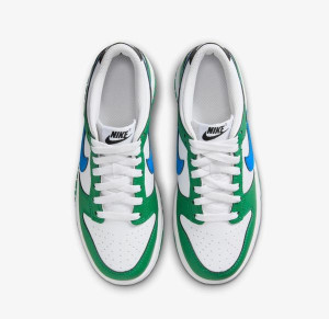 Кросівки Nike DUNK LOW GS FZ4357-300