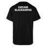 Футболка 47 Brand CHICAGO BLACKHAWKS BACKER 636667JK-FS