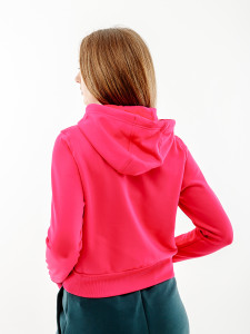 Толстовка Nike ONE TF PO HOODIE LBR FB5210-615