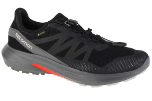 Кросівки Salomon Hypulse Grey Gore-Tex 415959