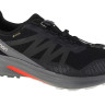 Кросівки Salomon Hypulse Grey Gore-Tex 415959