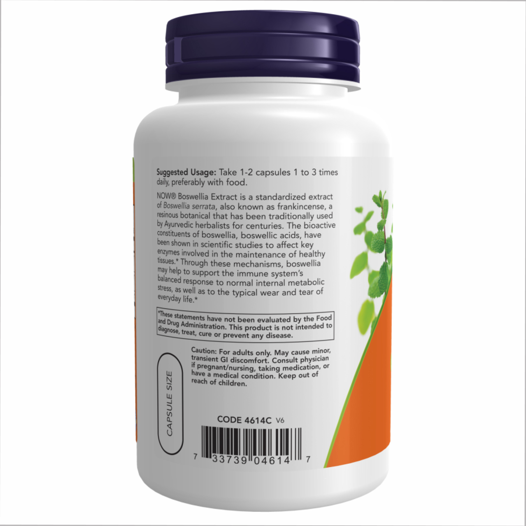 Капсули Boswellia Extract 250 mg - 120 vcaps 2022-10-0986