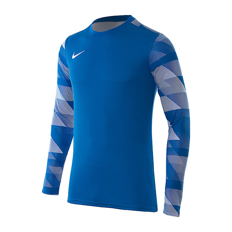 Кофта Nike Dry Park IV Goalkeeper Jersey Long Sleeve CJ6066-463