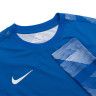 Кофта Nike Dry Park IV Goalkeeper Jersey Long Sleeve CJ6066-463