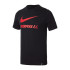 Футболка Nike LFC M NK TEE TR GROUND CZ8196-010