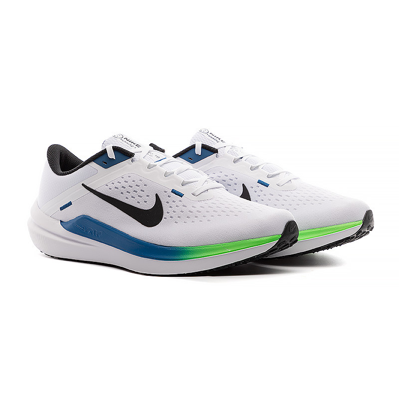 Кросівки Nike AIR WINFLO 10 DV4022-103