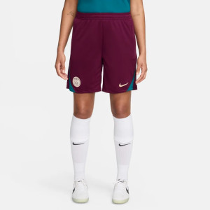 Шорти Nike PSG 24/25 Strike FN9394-610