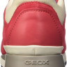 Кросівки Geox D Shahira B D62N1B02214C8V8R