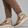 Штани чоловічі Air Jordan Wordmark Trousers Brown FZ3954-223