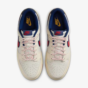 Кросівки Nike DUNK LOW RETRO SE HV5749-110