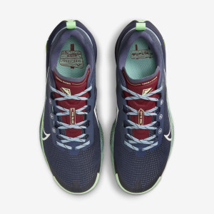 Кросівки жіночі Nike Terra Kiger 9 Blue DR2694-403
