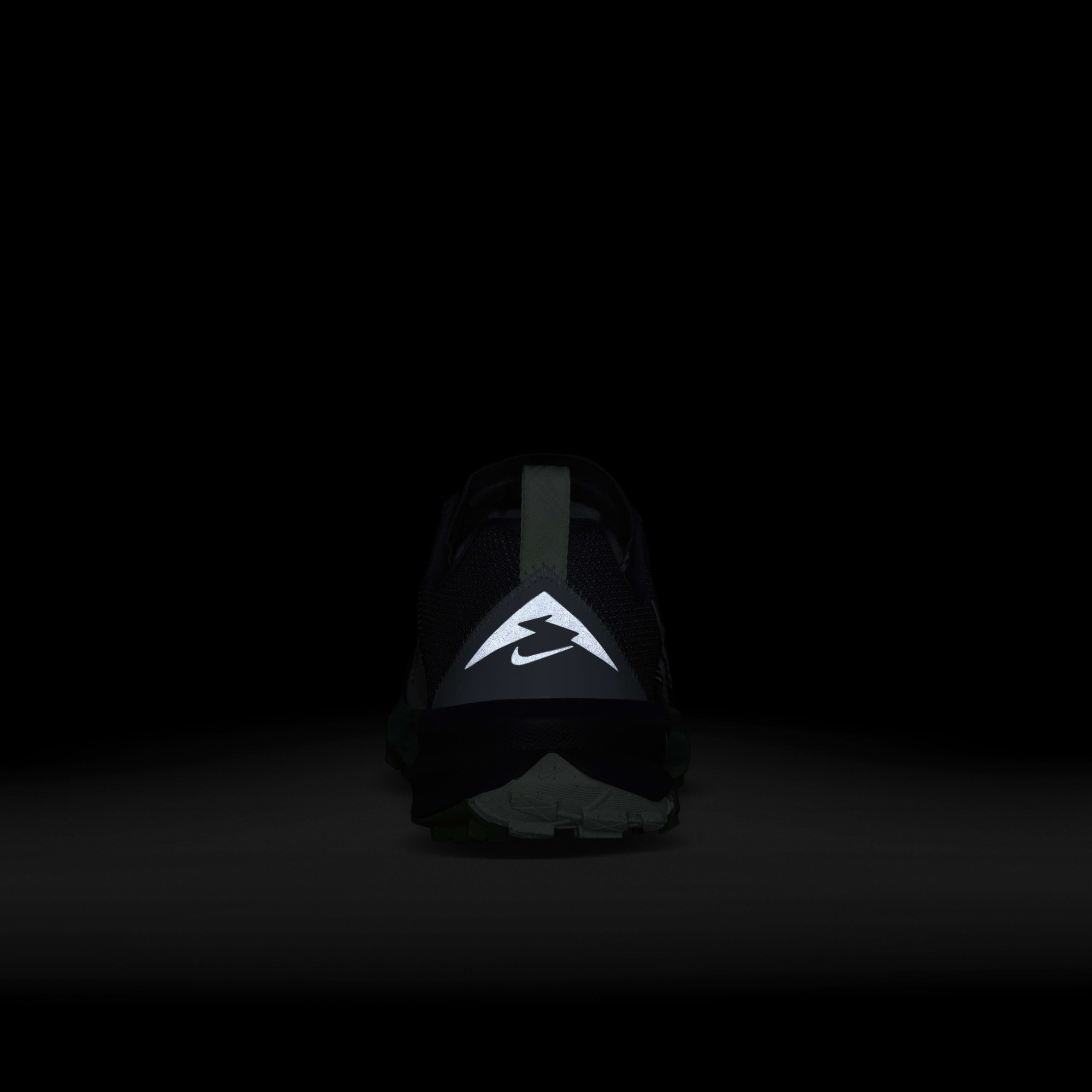 Кросівки жіночі Nike Terra Kiger 9 Blue DR2694-403