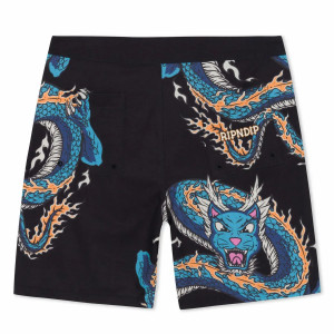 Шорти Ripndip SHEN NERM SWIM SHORTS RNDSUM25120