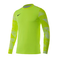Кофта Nike Dry Park IV Goalkeeper Jersey Long Sleeve CJ6066-702