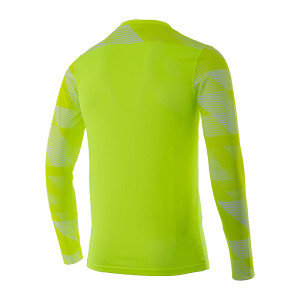 Кофта Nike Dry Park IV Goalkeeper Jersey Long Sleeve CJ6066-702