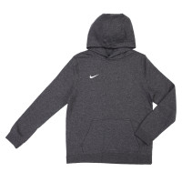 Кофта Nike TEAM CLUB 19 HOODIE L I F E S T Y L E AJ1544-071