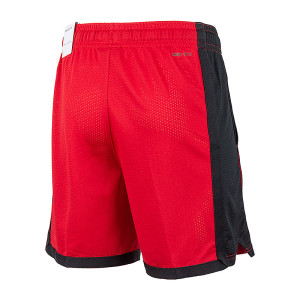 Шорти JORDAN DF SPRT MESH SHORT DH9077-687