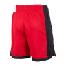 Шорти JORDAN DF SPRT MESH SHORT DH9077-687