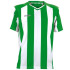 Футболка ігрова Joma PISA 1066.98.006