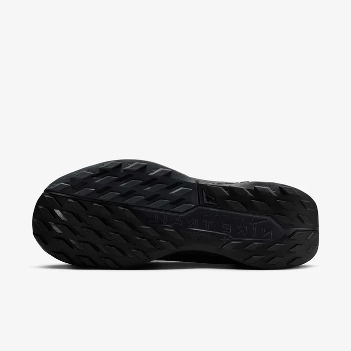 Кросівки Nike Pegasus Trail 5 GORE-TEX FQ0912-002