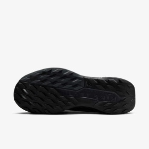 Кросівки Nike Pegasus Trail 5 GORE-TEX FQ0912-002