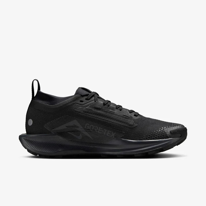 Кросівки Nike Pegasus Trail 5 GORE-TEX FQ0912-002