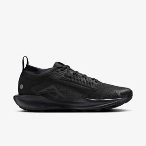 Кросівки Nike Pegasus Trail 5 GORE-TEX FQ0912-002