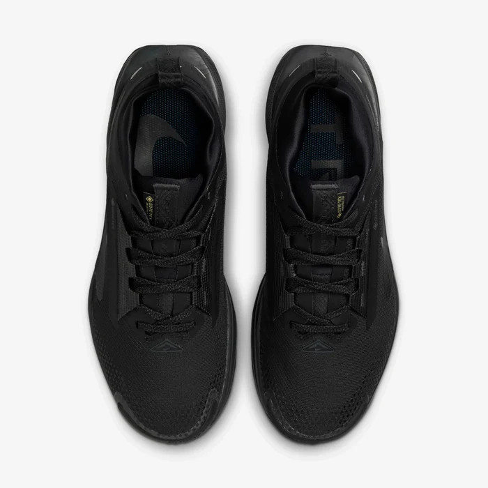 Кросівки Nike Pegasus Trail 5 GORE-TEX FQ0912-002