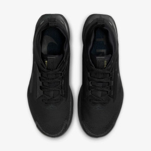 Кросівки Nike Pegasus Trail 5 GORE-TEX FQ0912-002
