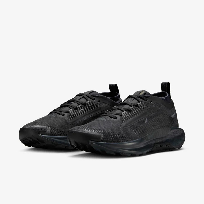 Кросівки Nike Pegasus Trail 5 GORE-TEX FQ0912-002