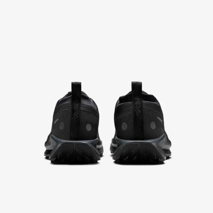 Кросівки Nike Pegasus Trail 5 GORE-TEX FQ0912-002